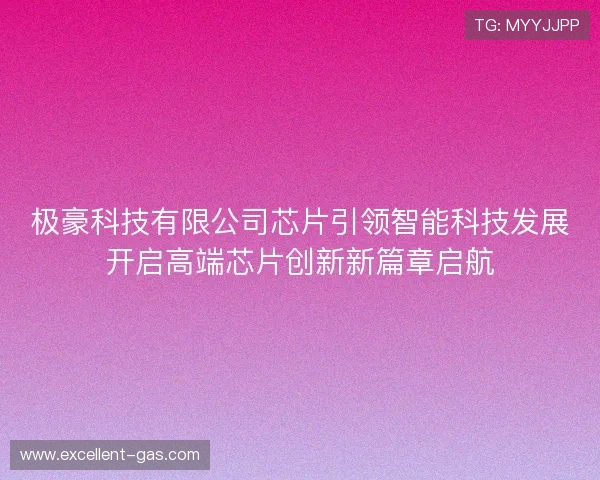 极豪科技有限公司芯片引领智能科技发展开启高端芯片创新新篇章启航