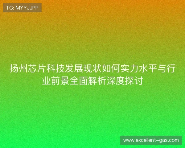 扬州芯片科技发展现状如何实力水平与行业前景全面解析深度探讨